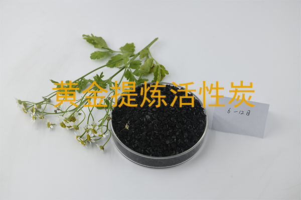 黄金提炼用哪种活性炭合适?