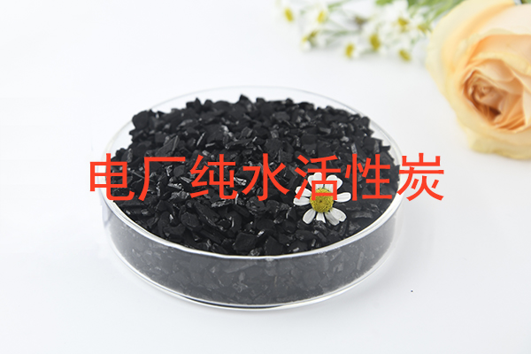 电厂纯水系统椰壳活性炭精准选用方案